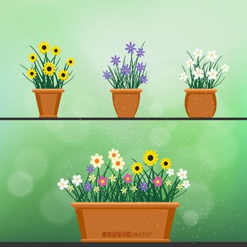 Flowerpot with flowers plant and grass on green blur bokeh background. Nature spring or summer abstract flora set. Chamomile cornflower violet snowdrop bouquet grow in pot. Easy to edit
