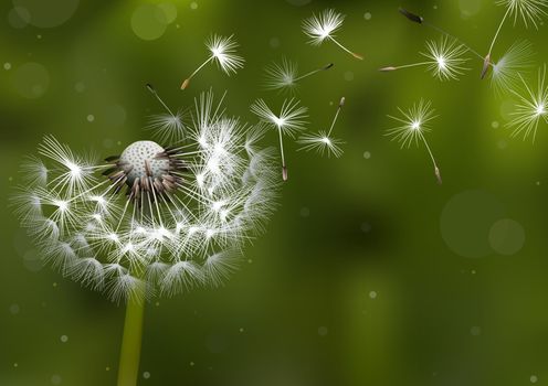 Dandelion Seeds in the Sunlight Blowing Away Across a Defocused Background - Colored Illustration, Vector