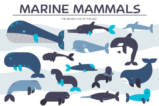 Sea mammals animal collection icons set. Vector fish illustration in ocean life background. Marine exotic creature flat design.