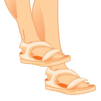 Legs in year footwear sandals on white background is insulated