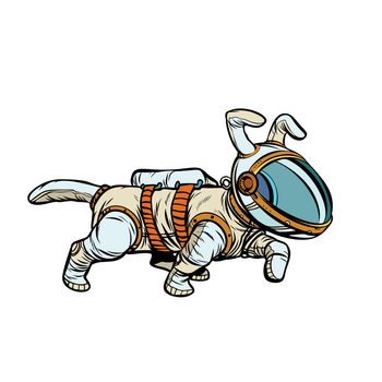 pet dog astronaut. Pop art retro vector illustration kitsch vintage drawing