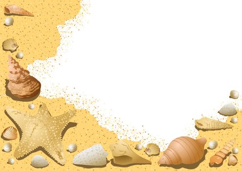 Sandy Background with Seashells - Decorative Illustration with Underwater Life, Vector