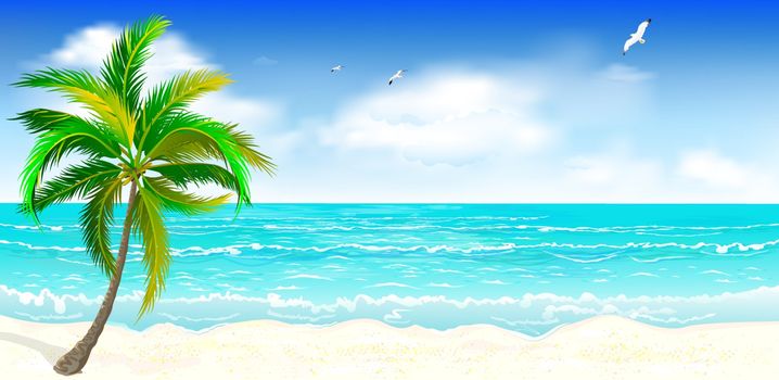 Landscape of the tropical shore. Landscape of the sea shore with palm tree. Sea shore with palm tree, blue sky and white clouds. Palm tree against the background of the sea, sky and clouds.