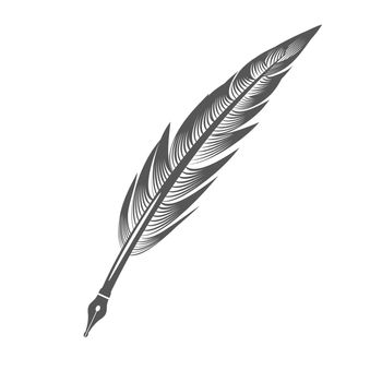 Grey Feather Pen Isolated on White Background