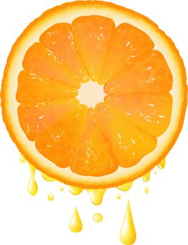 Orange Slice With Juice Drops With Gradient Mesh, Vector Illustration