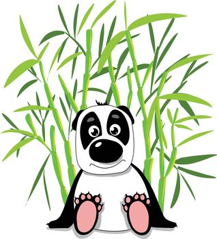 Stock Illustration Cute Panda in Bamboo Forest on a White Background