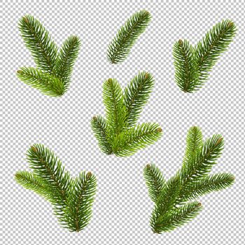 FirTree Isolated Isolated Transparent Background, Vector Illustration