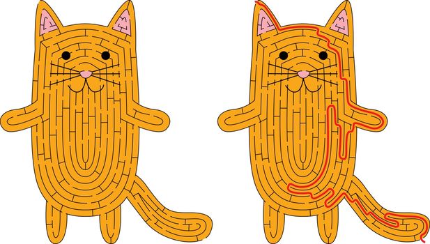 Cat maze for kids with a solution