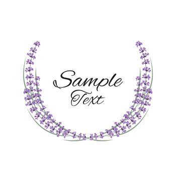 Vector illustration natural frame with purple lavender