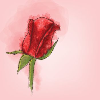 Single red rose vector with watercolor style