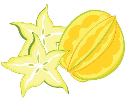 Vector illustration of the exotic tropical fruit carambola