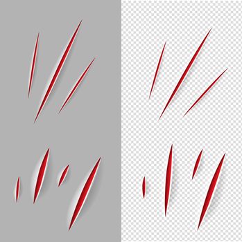 Claws Scratches Set With Gradient Mesh, Vector Illustration