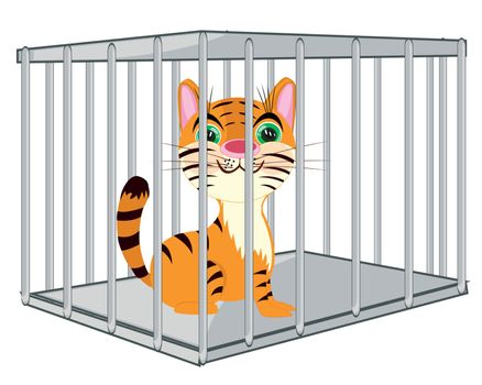 Tiger in iron hutch on white background is insulated
