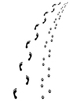 Prints of human feet and dog paws, turn left or right