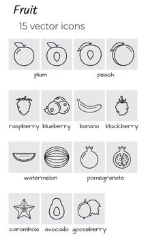 Fruit - collection of icons. Simple linear icons.