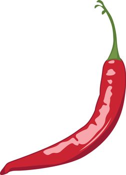 Red chilli pepper vector illustration on a white background