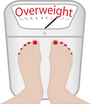 Woman feet on a Weight machine vector illustration. Overweight