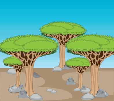 Vector illustration to arid stone desert and exotic Drakonovo tree