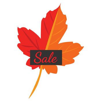 Vector illustration. Autumn leaf and the sale. Website banner template