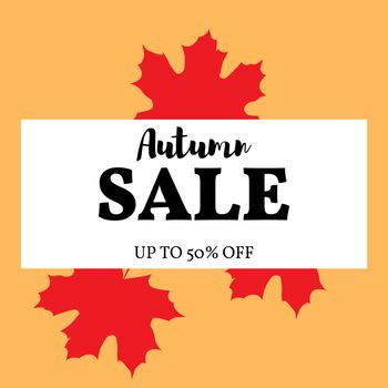 Vector illustration. The concept of the autumn sale. Yellow maple autumn leaf with the inscription sale