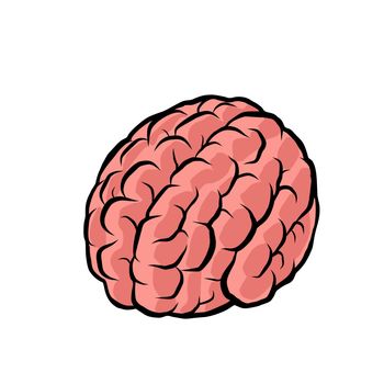 brain. the intelligence of the human mind. Comic cartoon pop art retro vector drawing illustration