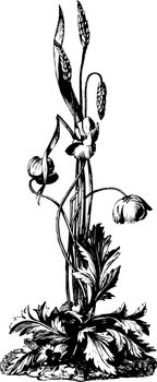 Wood Carving is a sculpture of wheat and wild flowers, vintage line drawing or engraving illustration.