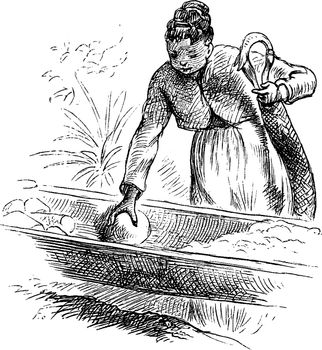 A woman filling a plaited cylinder used to squeeze the prussic acid from the grated cassava pulp, vintage line drawing or engraving illustration