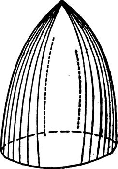 An illustration of a prismatoid with circular base. A prismatoid is a polyhedron whose vertices are in two parallel planes, vintage line drawing or engraving illustration.