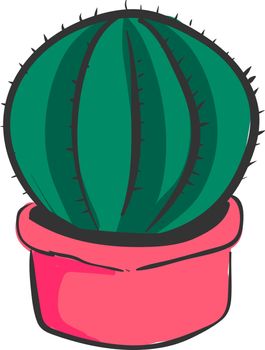 Cactus in pink pot, illustration, vector on white background.