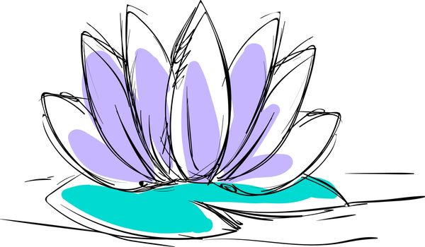 Lotus flower drawing, illustration, vector on white background.