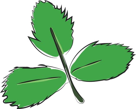 Clipart of three ovate-shaped green leaves on a slender stalk  vector  color drawing or illustration