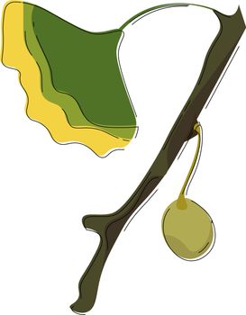 Clipart of a ball-like seed  green and yellow flower hanging on the small branch of a deciduous Chinese gingko tree  vector  color drawing or illustration