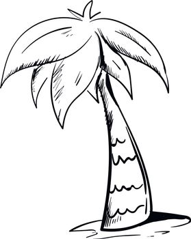 Sketch A palm tree has a crown of very long feathered or fan-shaped leaves has a sturdy trunk and grows above the soil over white background, vector, color drawing or illustration.