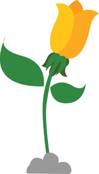 A beautiful yellow flower grown above the soil with two oval-shaped leaves on the long, green, and stout stalk set isolated on white background, vector, color drawing or illustration. 