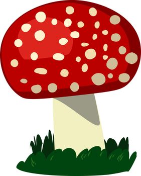 Fresh mushroom, illustration, vector on white background.
