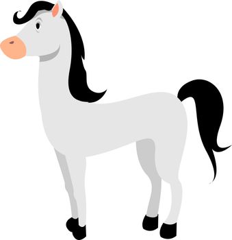 White horse, illustration, vector on white background.