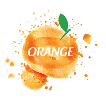 Vector logo orange juice splatter on white background.