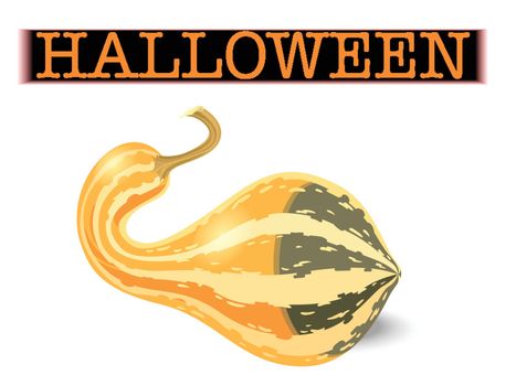 Halloween pumpkin. Elongated striped gourd isolated on white background. Vector illustration