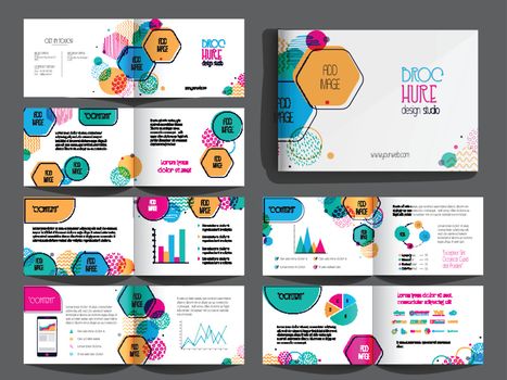 Professional Brochure, Leaflet design pack with infographic elements and space to add your images.