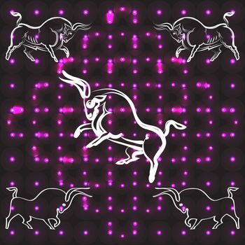 Bulls silhouettes hand-drawing. Side view. White contours. Attacking bulls. Young strong bull in center. Bullfight. Purple lights. Abstract bright background. Logo, farm trademark. Vector illustration