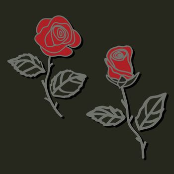 Illustration  of roses