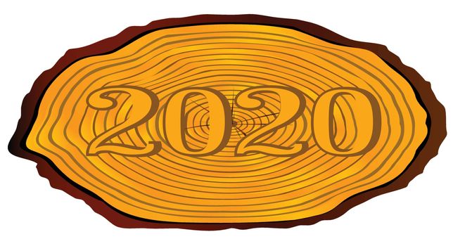 A section of a sawn log with the date 2020 over a white background