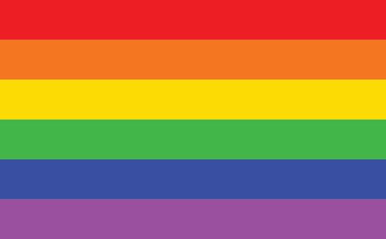The Gay Trangender flag in the traditional rainbow colors