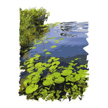 Lake plants, nature landscape. Calm pond scene. Freshwater lake ecosystem. Stock vector illustration. EPS 10