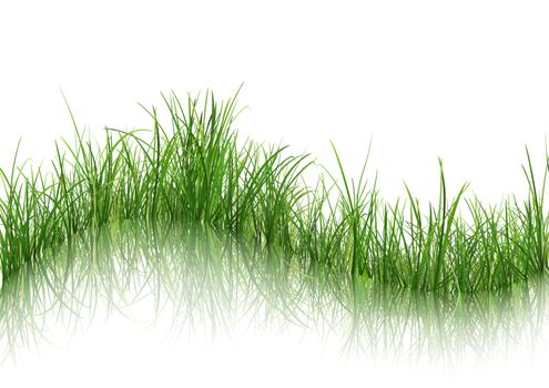 Grass with Reflection on Water - Isolated Background Illustration with Detailed Green Grass, Vector Graphic