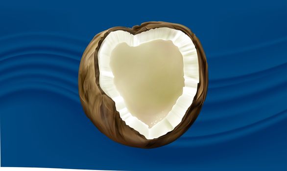 mock up illustration of coconut on abstract background