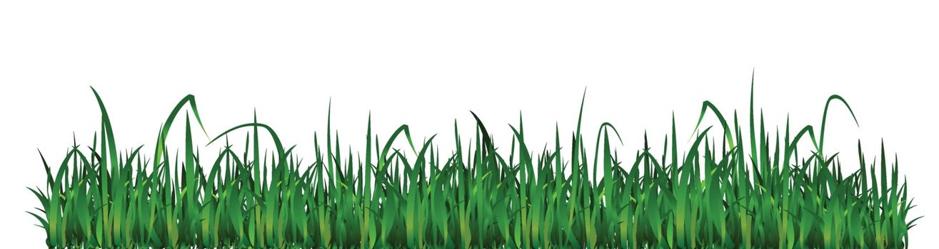 Green Dense Grass Cartoon Vector Illustration