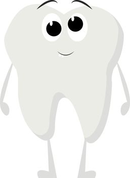 White teeth, illustration, vector on white background.