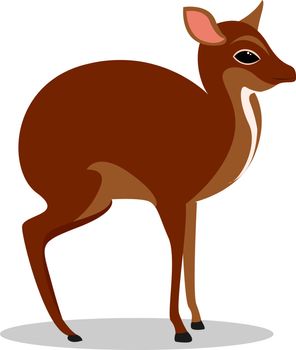 Mouse deer, illustration, vector on white background.