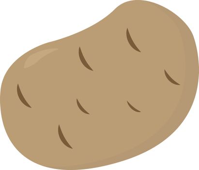 Potato, illustration, vector on white background.